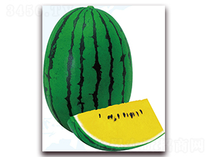 �����-���ϷN��-��֮�W