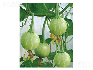 ���?f��)?�ϹϷN��-���؈@ˇ