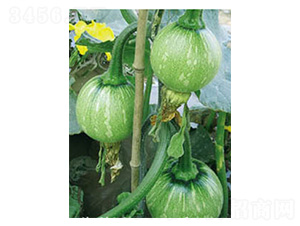 ����-�ϹϷN��-���؈@ˇ