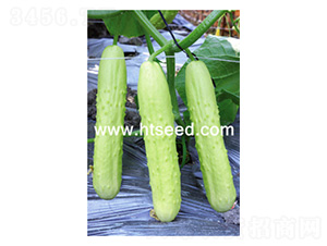 ���@��̖(h��o)-�S�ϷN��-���؈@ˇ