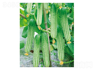 ���R4̖(h��o)-�S�ϷN��-���؈@ˇ