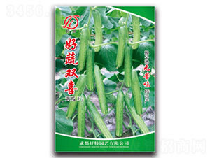 �����pϲ-�S�ϷN��-���؈@ˇ