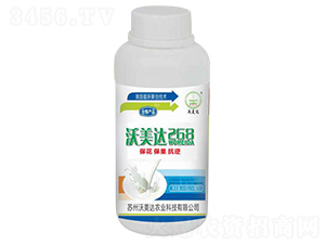 �����_268-�����_