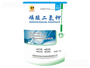 ��������-���ֺ�