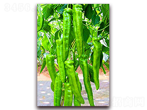 �G��-�����N��-���_