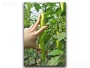 ����-�����N��-���_