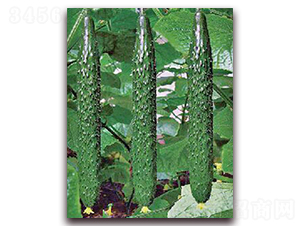 ���_(d��)2̖(h��o)-�S�ϷN��-���_(d��)