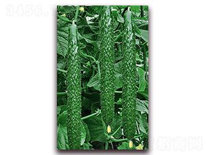 ���_(d��)1̖(h��o)-�S�ϷN��-���_(d��)