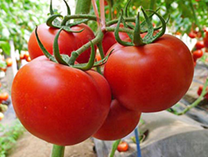 ����-��TY���ѷN��-���_