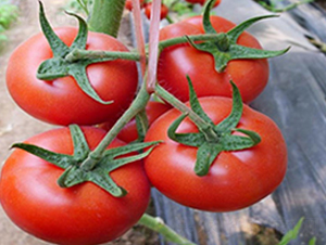 �t��-��TY���ѷN��-���_