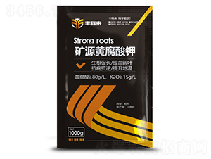 1000g�VԴ�S�����-�S�Ɓ�-������