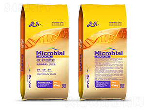 ΢�������-ϲ��-�����r(n��ng)�I(y��)