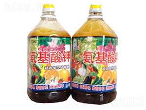 �������-�|���t