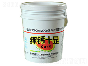 ��}ʮ��-�|���t