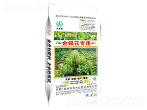 ���y�����Ïͻ����-�|���t