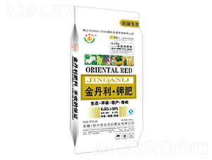 ������⛷�-�|���t