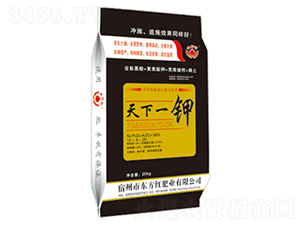 ����һ�-�|���t