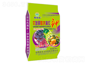 �{���������߼t�-�����-�|���t