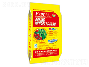 ��ʥ�߻��ԛ_ʩ��-�|���t