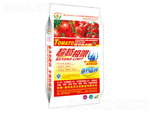 ��Խ�O��-�|���t