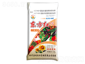 �|���t1̖-����-�|���t