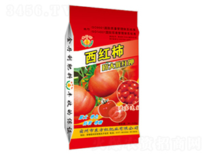 ���t�����߼t�-�|���t