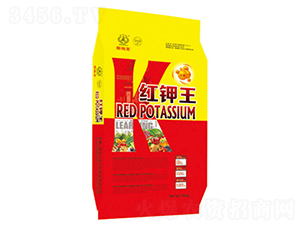 �t���-�|���t