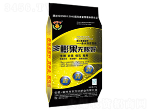 ����o�޺�-�|���t