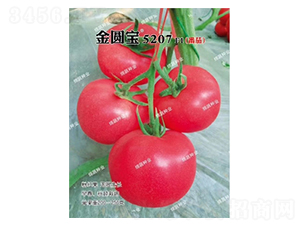 ���A��5207-���ѷN��-�d�߷N�I(y��)