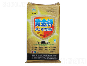 �S���-�|���t