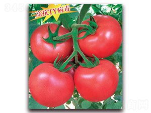 ������-���ѷN��-����r(n��ng)�I(y��)