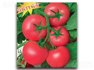 �����-���ѷN��-����r(n��ng)�I(y��)