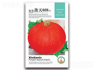 �������608-�ϹϷN��-���G