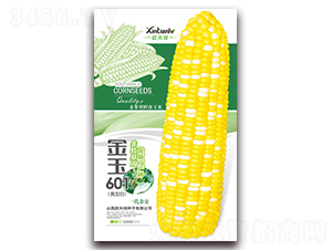 ����601-��Ŵ���׷N��-���G