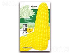 ����616-��Ŵ���׷N��-���G