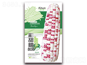 ����Ŵ808-��Ŵ���׷N��-���G