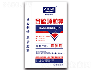 �����w���-�й��߿�