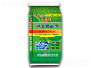 �����-΢�������