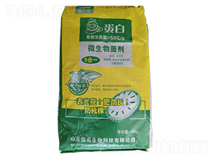 �~����΢�������-���ϻ�-��������