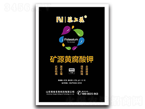 �VԴ�S�����-���ϻ�-��������