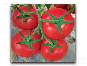 �t��܊-�t�����ѷN��-���_(d��)