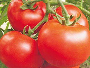 �֠���-�t�����ѷN��-���_(d��)