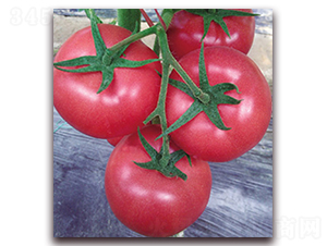 ����-�۹����ѷN��-���_(d��)