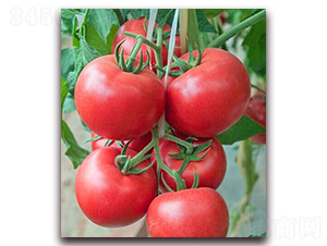 ��ɯ-�۹����ѷN��-���_(d��)