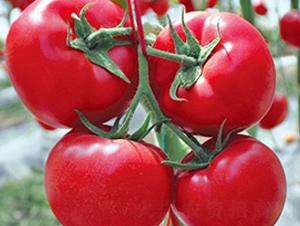 ����-�۹����ѷN��-���_(d��)