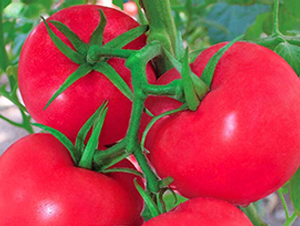 ����-�۹����ѷN��-���_(d��)