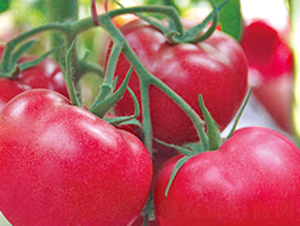 ����-�۹����ѷN��-���_(d��)