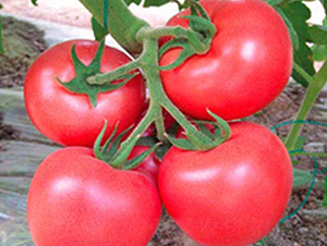 ����-�۹����ѷN��-���_(d��)