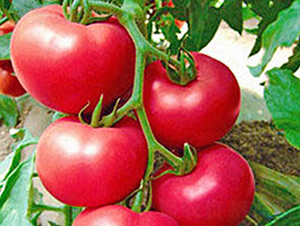 ����-�۹����ѷN��-���_(d��)