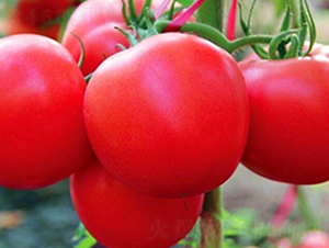 ���_-�۹����ѷN��-���_(d��)